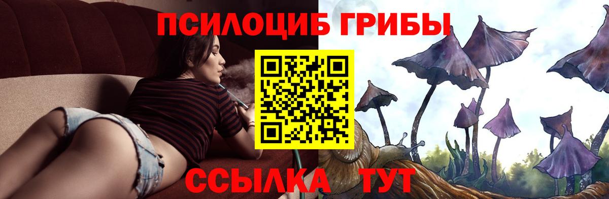 Галлюциногенные грибы Cubensis Рузаевка
